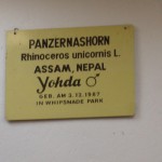 Un panzer nommé Yoda