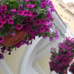Prague