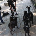 Satan, Belzébuth, Lucifer, Behemoth, Sheitan: A TABLE!