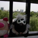 Porky et Junky au zoo