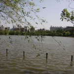 Parc de Ueno