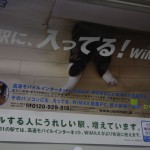 Pub avec Maru dans le métro