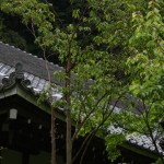 Temple Engaku-ji