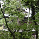 Temple Engaku-ji
