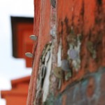 Le tori vu de très près