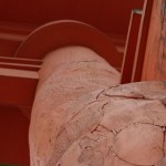 Le tori vu de près
