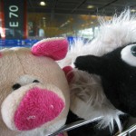 Porky et Junky