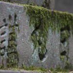 Gros plan sur une lanterne