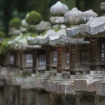 Chemin des lanternes