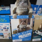Maru superstar