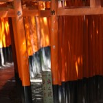 Les toris du Fushimiinari