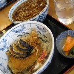 Udon au poulet