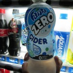 La dernière cascade du voyage