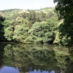 Petit lac au-dessus du Fushimiinari