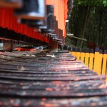 Mini tori au Fushimiinari