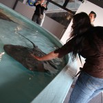 Forcément quand on peut tripoter une bestiole, Lucille est la première