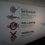 On ne tripote pas les poisson n'importe où!