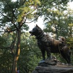 Balto dans Central Park