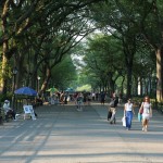 Central Park