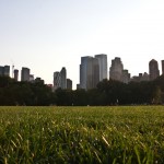 Central Park
