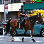 Police montée