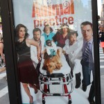 Une série télé sur les vétos