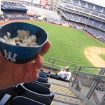 Même la glace est aux couleurs des Yankees